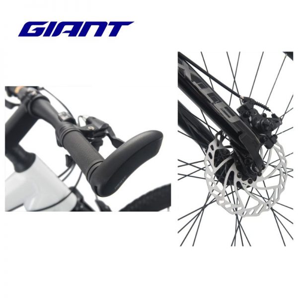 CỤM PHANH TRƯỚC - 2022 ATX 660 (Tay Phanh+Đĩa)