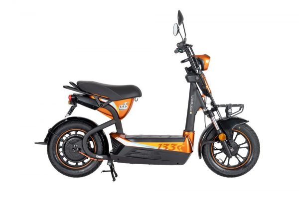 2022-ELEM-133S-HO-PHACH